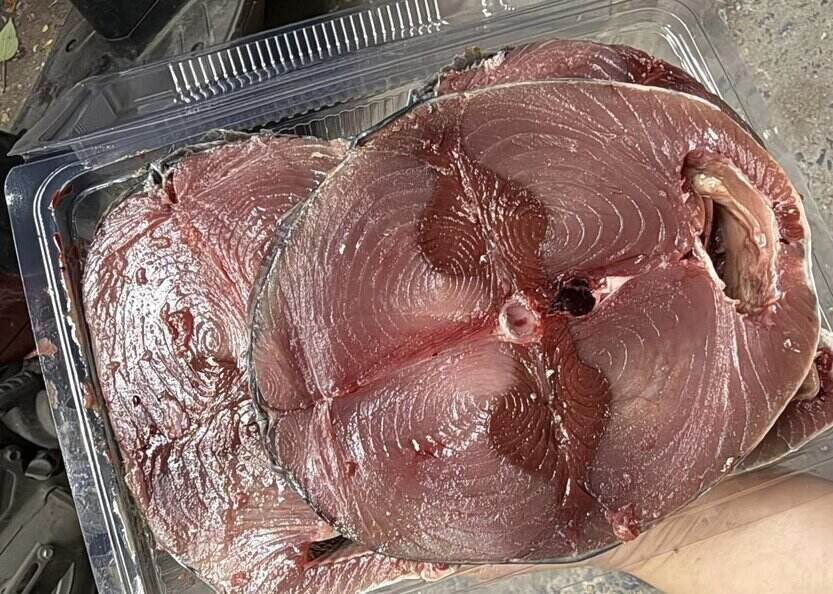 El atun puede soportar el control del azucar en la sangre si se procesa adecuadamente y come la dosis correcta. Foto: Kieu Vu