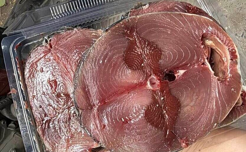 Tuna can help control blood sugar if processed properly and eaten in the right amount. Photo: Kieu Vu