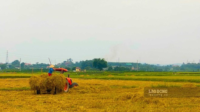 Dự kiến các loại công trình được xây dựng trên đất nông nghiệp ở Hà Nội