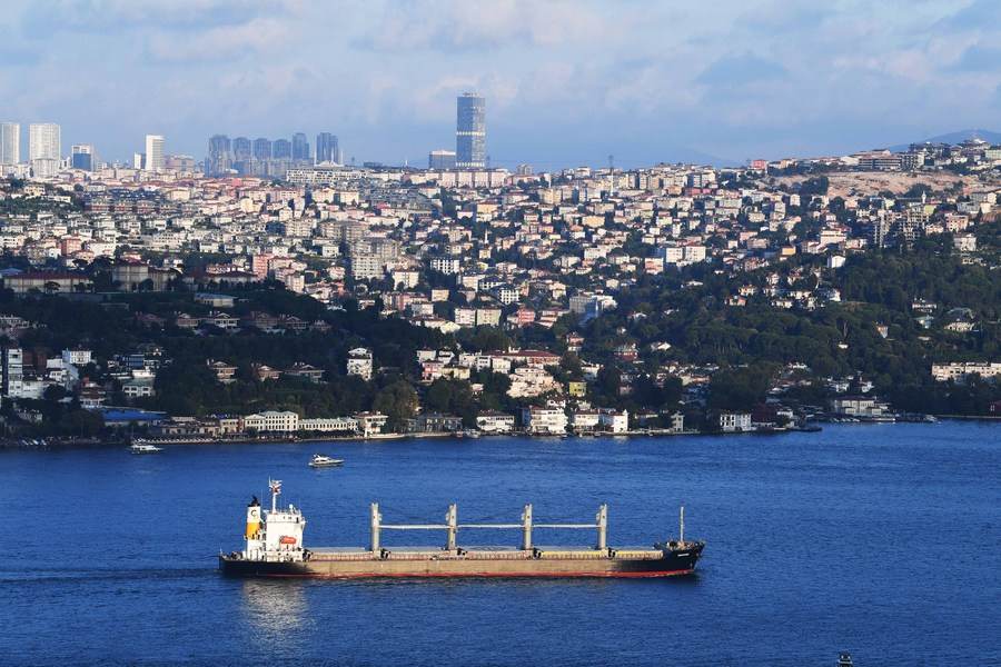 Tau cho ngu coc tu Ukraina di qua eo bien Bosphorus o Istanbul, Tho Nhi Ky, ngay 7.8.2022. Anh: Xinhua
