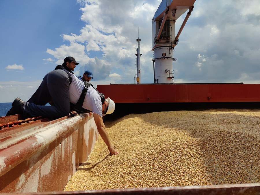 Checking a Ukrainian grain ship in the Bosphorus Strait, Istanbul, Turkey, on August 3, 2022. Photo: Xinhua