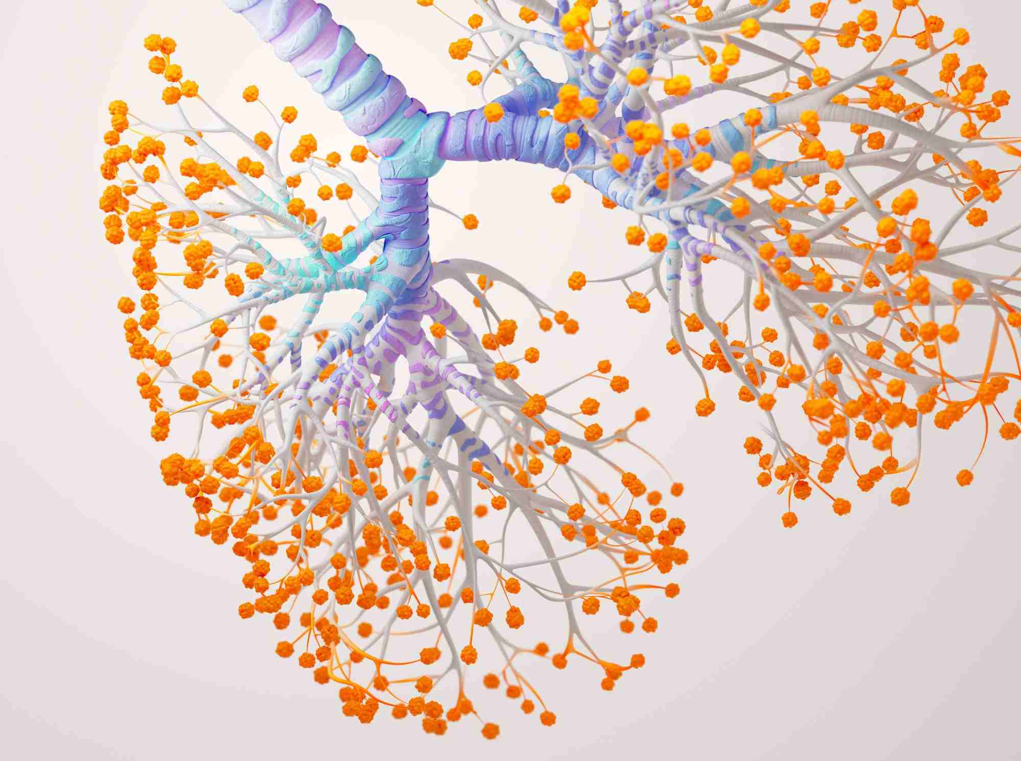 El asma bronquial afecta a aproximadamente 4 millones de personas en Vietnam. Foto: GSK