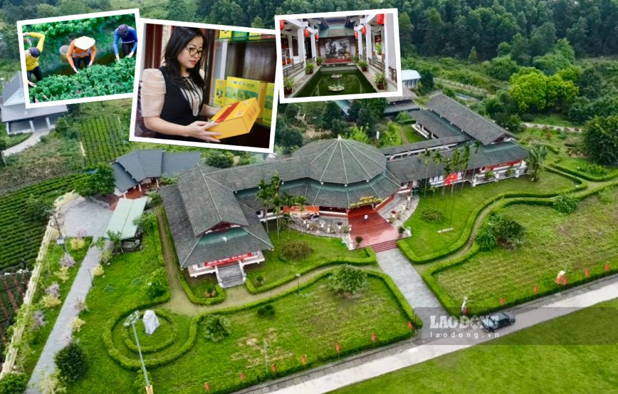 Explore the largest tea cultural space in Thai Nguyen. Photo: Nguyen Hoan.