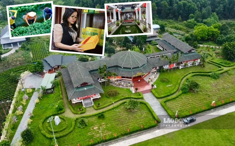 Explore the largest tea cultural space in Thai Nguyen. Photo: Nguyen Hoan.