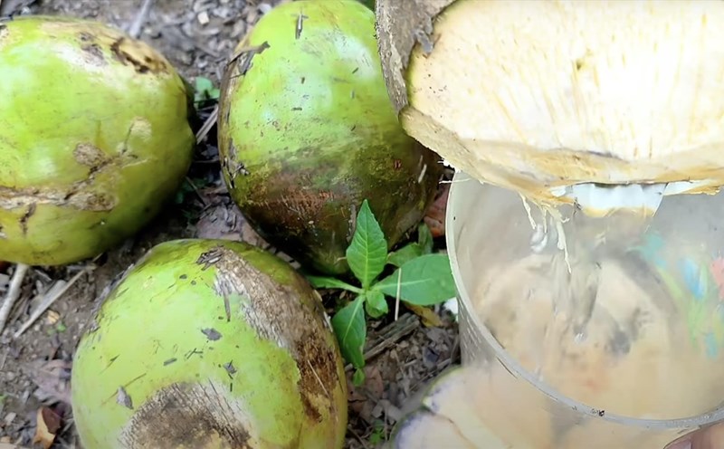 Supplementing suitable drinks in the summer not only helps cool down but is also a simple, effective way to protect strong bones. Photo: Huong Son.