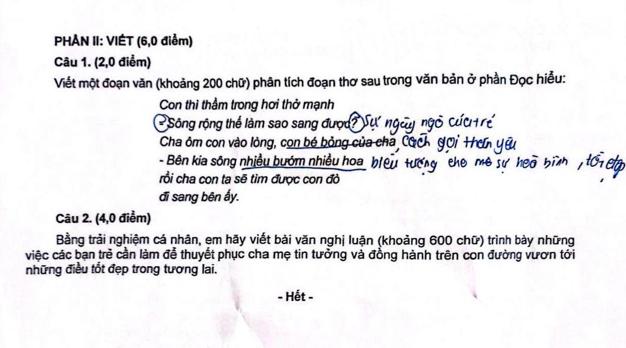De thi chinh thuc mon Ngu van vao lop TP Da Nang nam 2025. Anh: Minh Chau
