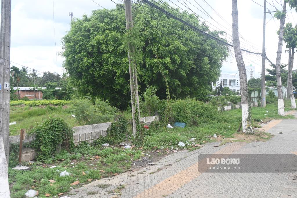 Khu dat chua dua vao khai thac gay lang phi nguon luc dat dai. Anh: Thanh Nhan