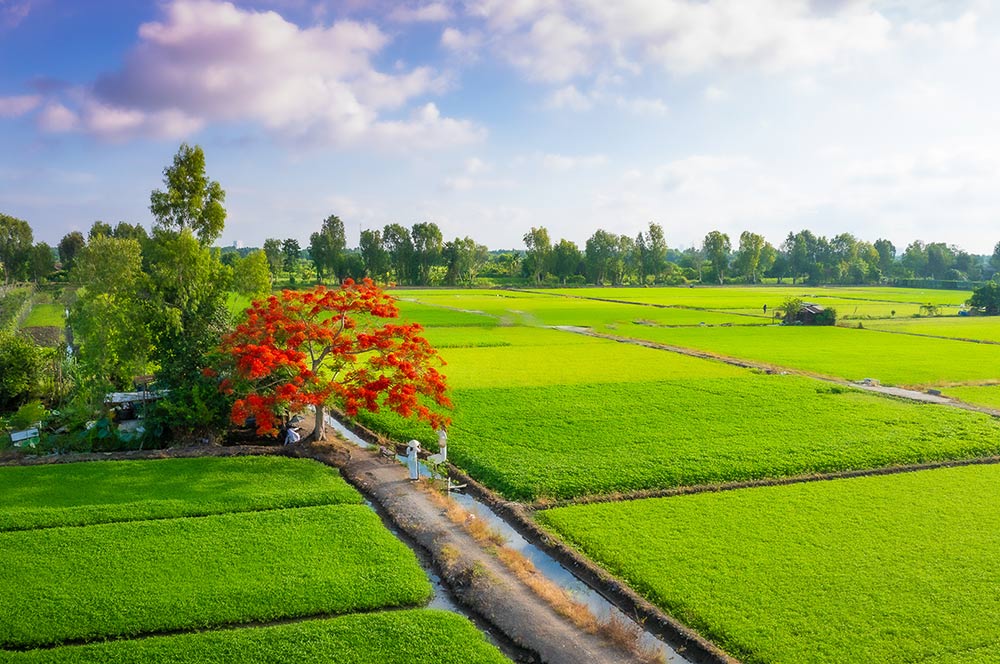 Du bao thoi tiet ngay mai 16.5, ngay nang o ca ba mien, trong do Nam Bo co nang nong cuc bo. Mua dong rai rac o nhieu khu vuc tren ca nuoc ve chieu toi va dem. Anh: Vu Khoa