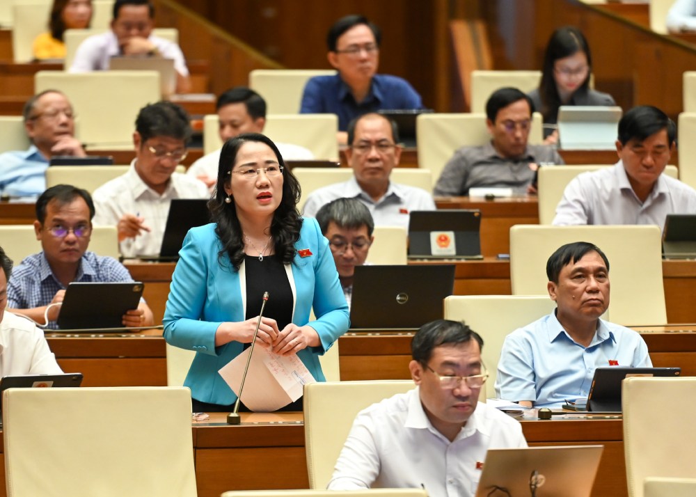 Đại biểu Nguyễn Thị Thủy phát biểu. Ảnh: Phạm Đông