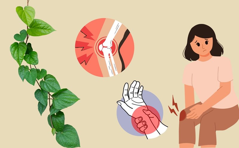 The type of leaf sold in the market is a medicine to help treat pain in bones and joints