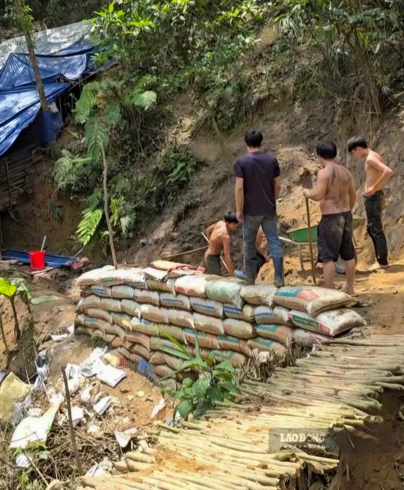 Cac doi tuong khai thac vang trai phep. Anh: PV