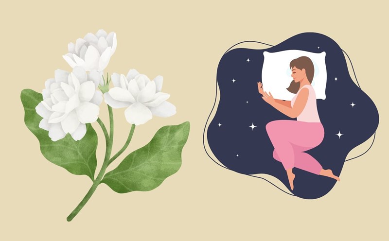 Herbs grown in whole gardens help sleep better