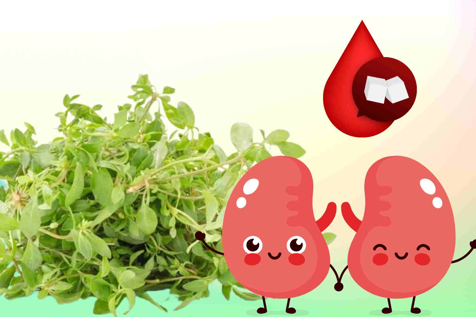 La medicina herbal ayuda a reducir la tos, el esputo y descargar efectivamente la desintoxicacion de pulmones