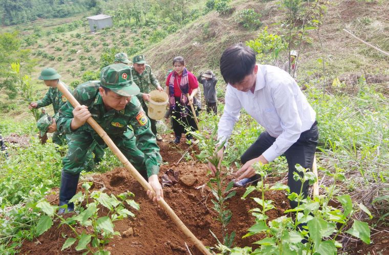 Las unidades en Dak Nong donaron miles de plantulas de macadamia a la gente fronteriza. Foto: Van Hoan