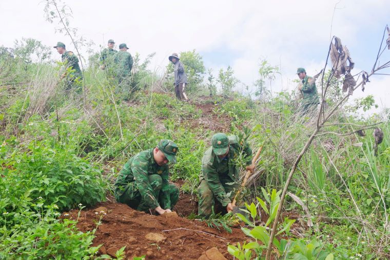 Luc luong bo doi bien phong tham gia trong cay cho ba con. Anh: Van Hoan