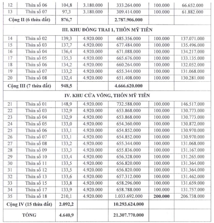 Thong tin cac thua dat trong phien dau gia ngay 29.5. Anh: