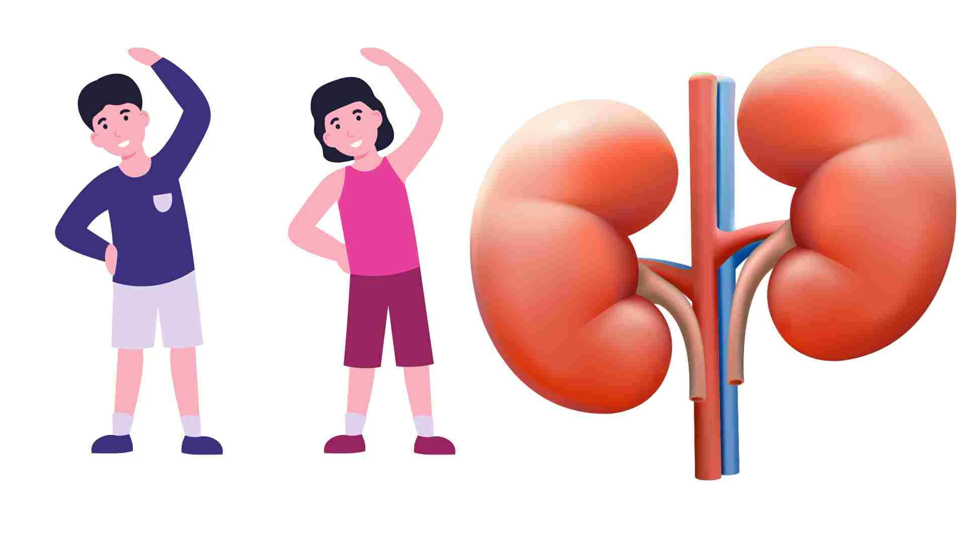 Exercise is effective in preventing kidney-related diseases. Graphics: Ha May