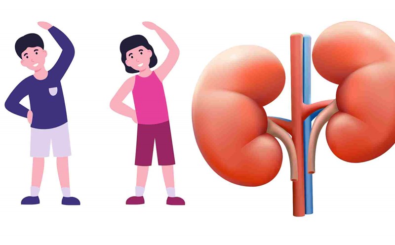 Exercise is effective in preventing kidney-related diseases. Graphics: Ha May