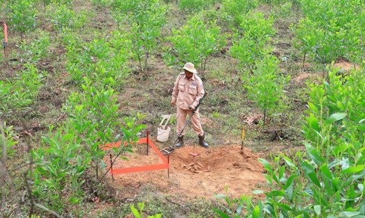 Hầm đạn được Đội rà phá bom mìn của MAG phát hiện ở khu vực rừng tràm. Ảnh: MAG