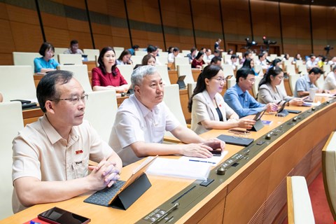 Quoc hoi nghe to trinh ve sua doi, bo sung mot so dieu Luat Dau thau. Anh: Quochoi