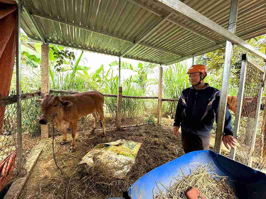 Truong buon Mrum (xa Ea Ho) den kiem tra chuong trai, theo doi tinh trang suc khoe bo sinh san cua nguoi dan. Anh: Bao Trung