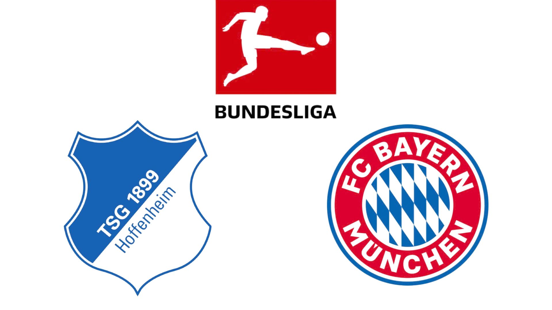 Hoffenheim se enfrento al Bayern de Munich en la Bundesliga. Graficos: Van An