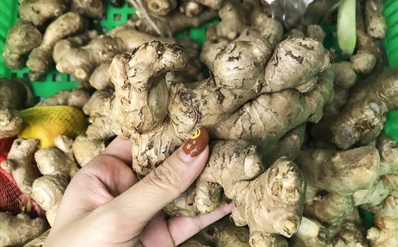 Ginger juice is a drink that should be taken on an empty stomach in the morning to help promote fat loss. Photo: Thanh Thanh