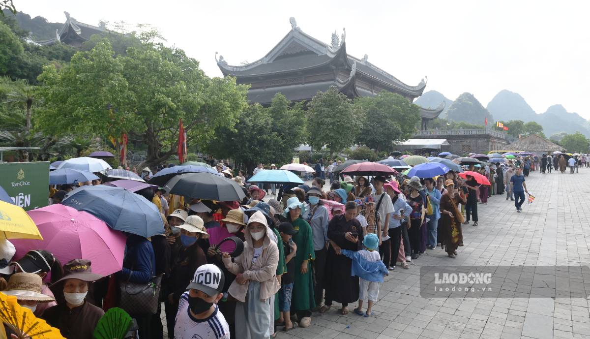 La gente al sol se ha alineado durante horas. Foto: Luong ha