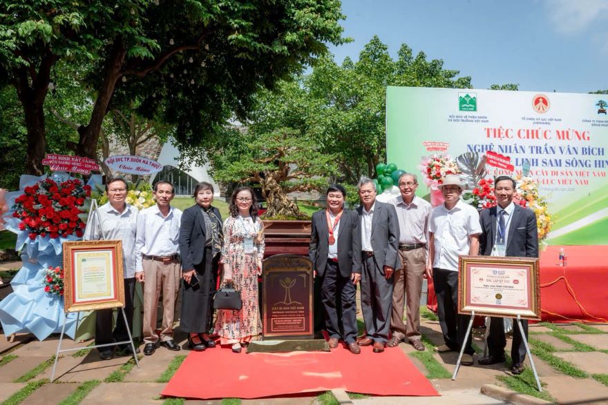 Tác phẩm Linh sam sông Hinh được công nhận là cây trồng trong chậu có tuổi lâu năm nhất tại Việt Nam. Ảnh: Tấn Văn