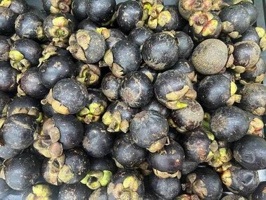 El mangostan esta en temporada, deberia aprovechar la comida para soportar la perdida de peso y estabilizar el azucar en la sangre. Foto: Kieu Vu