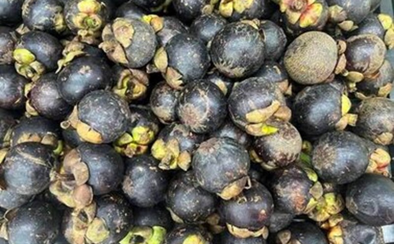 Tangerines are in season, so you should take advantage of eating them to support weight loss and stabilize blood sugar. Photo: Kieu Vu