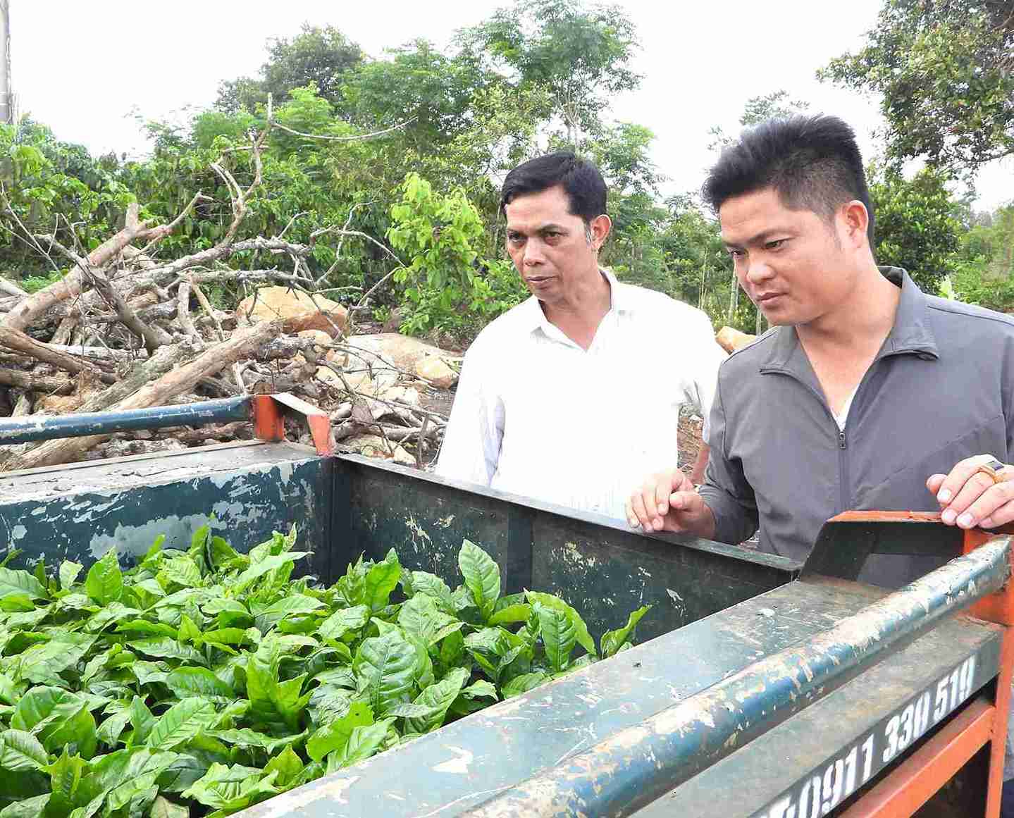 Funcionarios comunales en el distrito de Krong Nang eligen plantulas para ayudar a las personas pobres a desarrollar la agricultura y mejorar su economia. Foto: Bao Lam