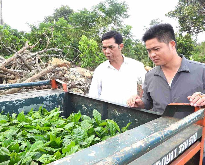 Tiếp sức cho người dân vùng đặc biệt khó khăn ở Krông Năng thoát nghèo bền vững