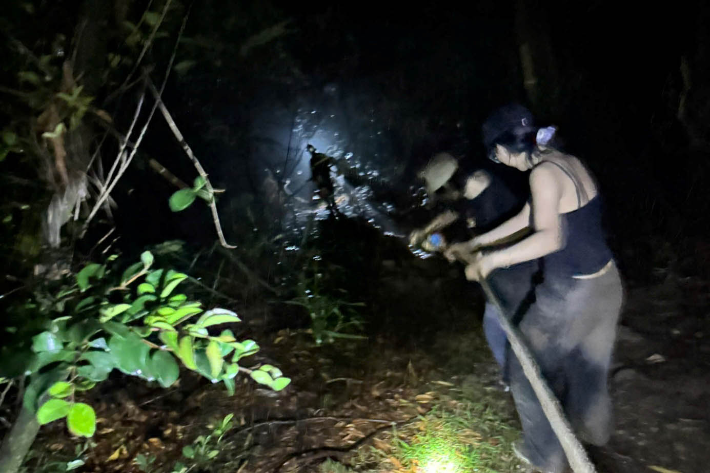 Lực lượng chức năng đã sử dụng các thiết bị chuyên dụng đưa thành công 5 người xuống núi an toàn. Ảnh: Công an Hà Nội 