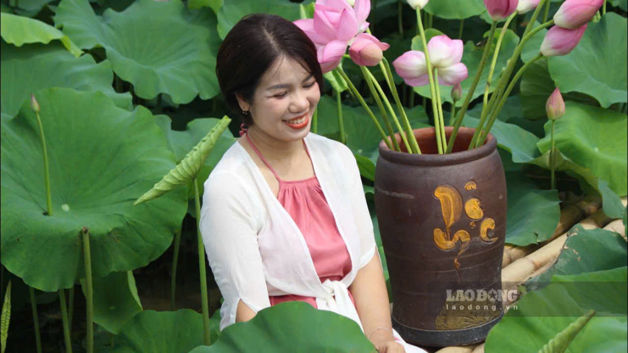 Chị Hoàng Thu Phương (quận Cầu Giấy, Hà Nội) cho biết: “Tôi rất thích sen, năm ngoái lỡ mùa nên năm nay tôi đi chụp sớm. Hoa sen rất đẹp, thơm, hợp khi lên ảnh với nón lá, áo dài màu trắng hoặc áo tứ thân”. 