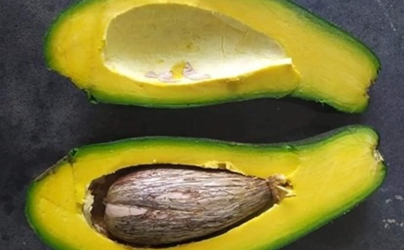 El aguacate es bueno para la salud. Foto: Thanh Thanh