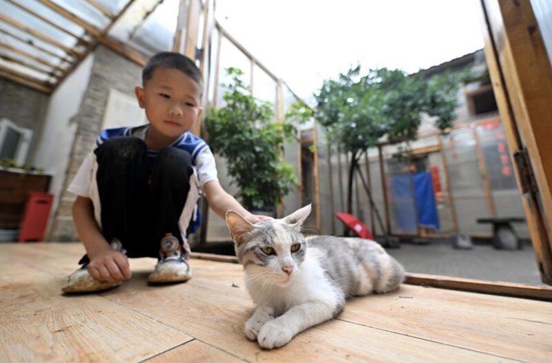 Tập đoàn Baidu (Trung Quốc) đã phát triển một AI nhằm chuyển đổi tiếng động vật thành ngôn ngữ con người. Ảnh: Xinhua