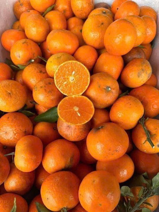 El jugo de naranja, si se usa correctamente, apoyara efectivamente el proceso de desintoxicacion del higado y celulas antisoxidantes. Foto: Quang Minh.