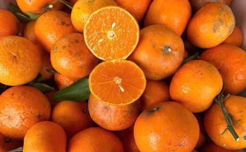 Orange juice, if used properly, will effectively support the liver detoxification process and fight cell oxidation. Photo: Quang Minh.