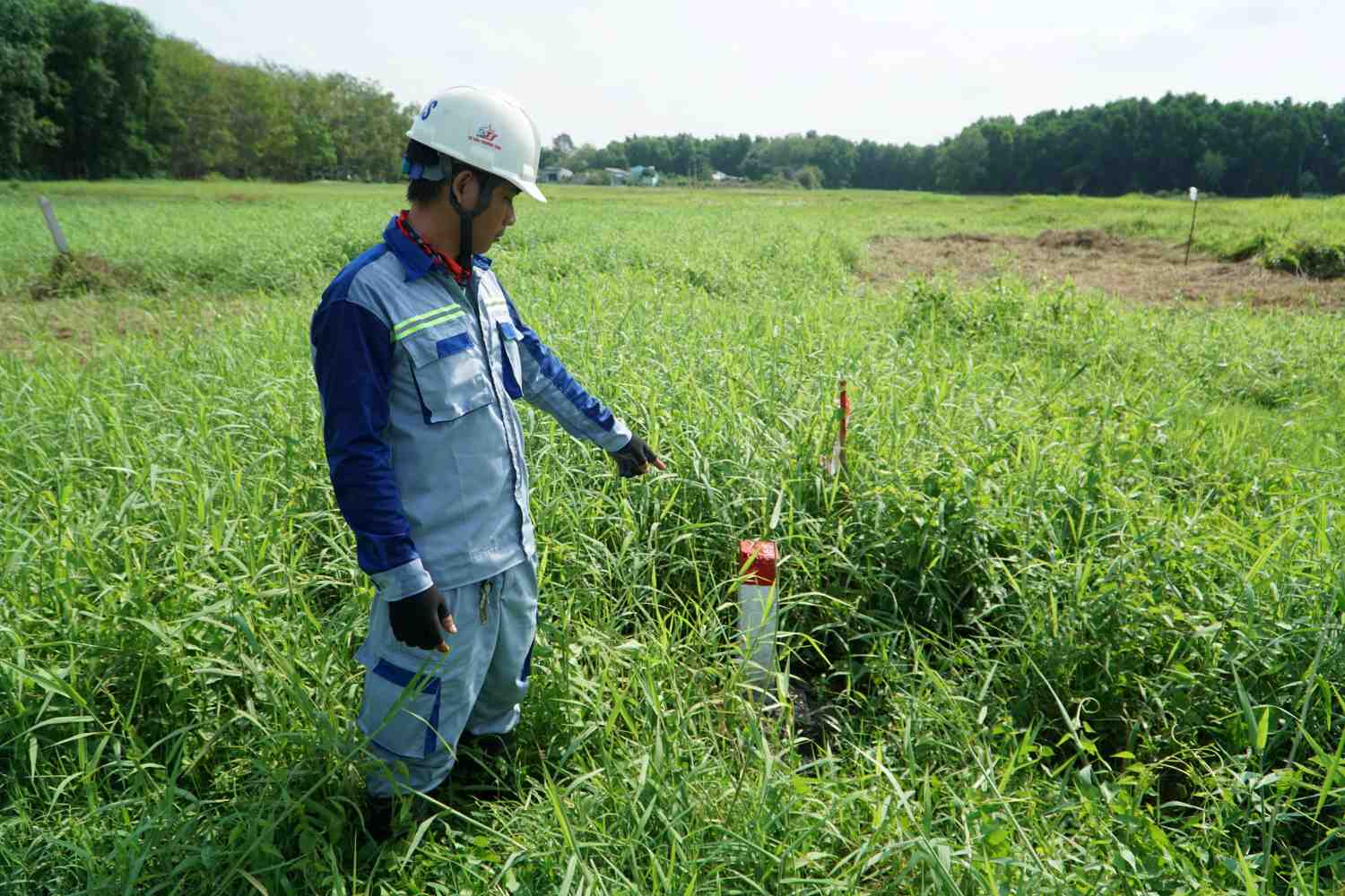 Công tác cắm cọc ranh giải phóng mặt bằng cao tốc TPHCM - Mộc Bài đã hoàn tất. Ảnh: Minh Quân