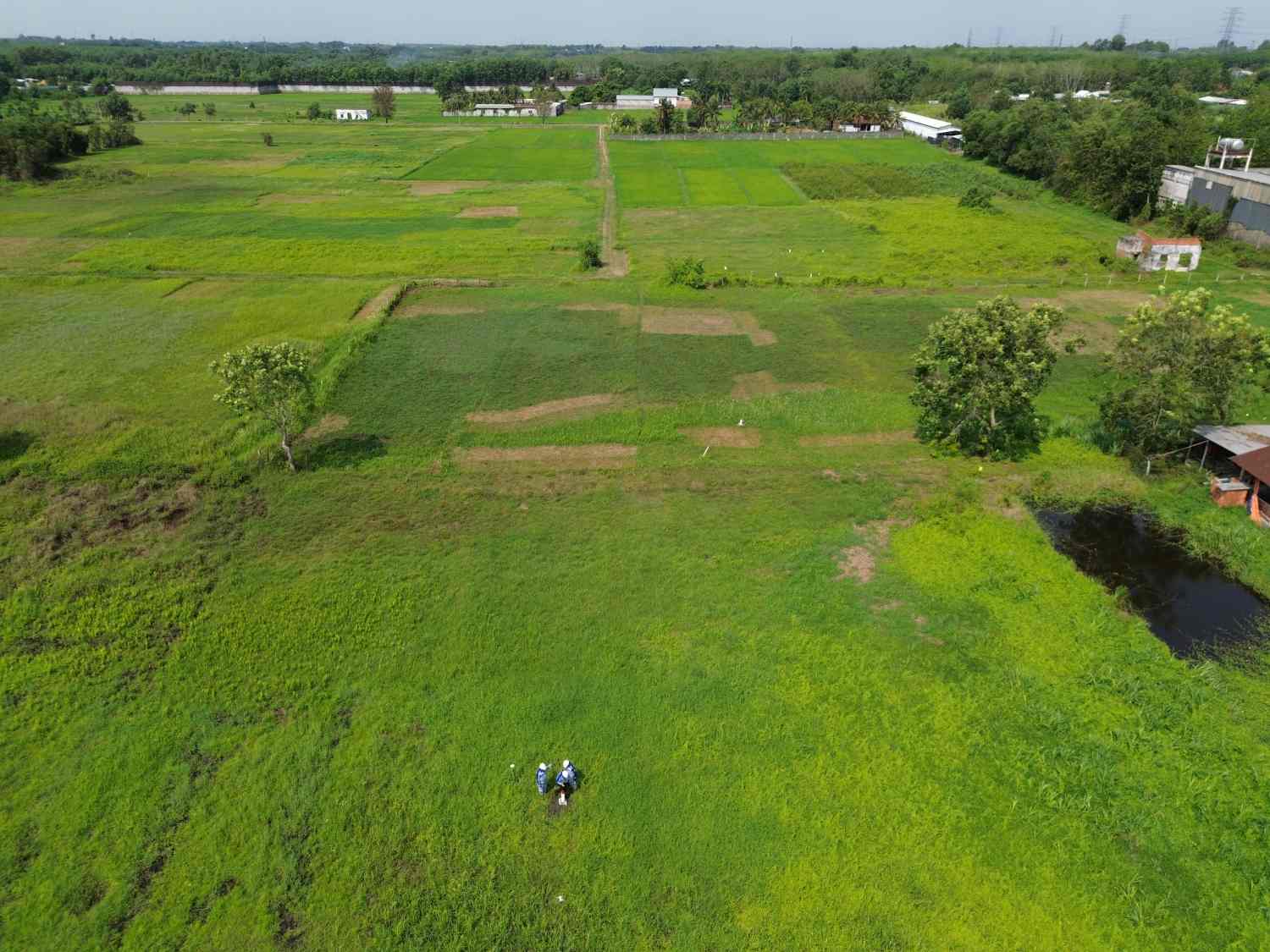 Cu Chi district area - where the Ho Chi Minh City - Moc Bai expressway project passes through. Photo: Minh Quan