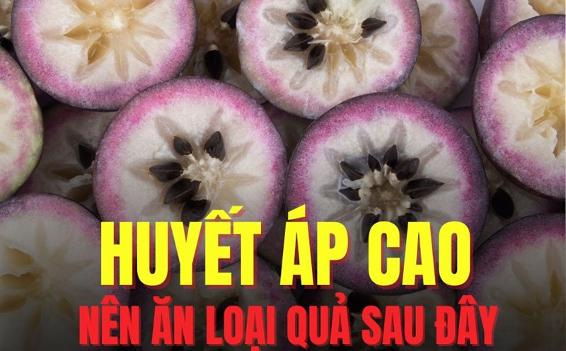 Star apple has many health benefits, especially its ability to support lowering high blood pressure. Graphics: Tra My