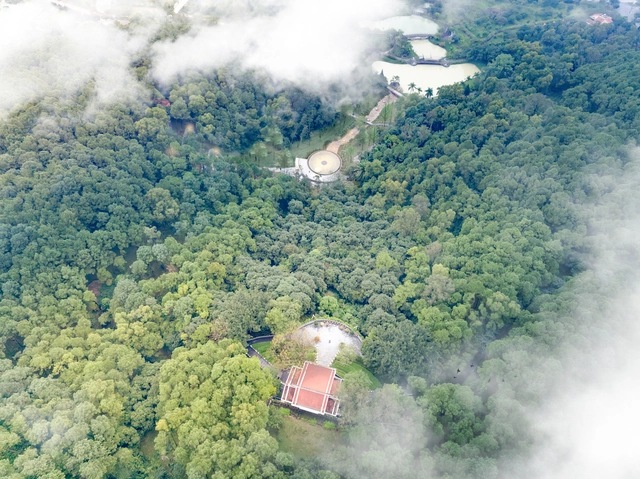 Hermosa cascada de 9 corey brillando en el area de la tumba del presidente Ho Chi Minh. Foto: NGOC ANH