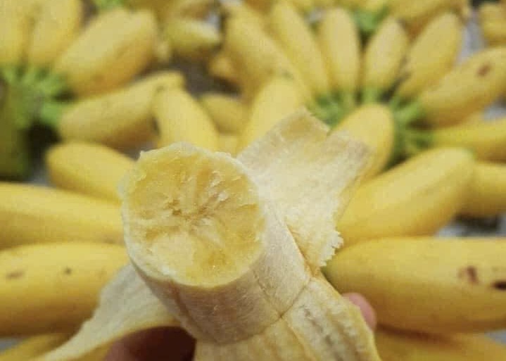 This fruit should be eaten for breakfast to help stabilize blood pressure. Photo: Kieu Vu