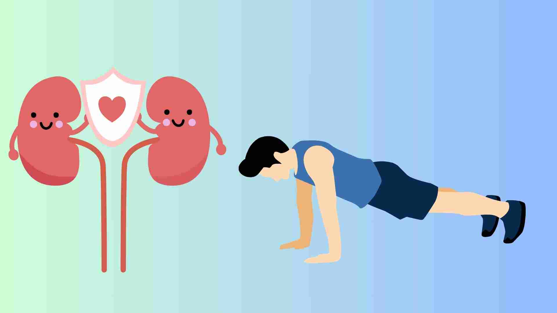 Anti-push is good for kidney health in men. Graphics: Ha May