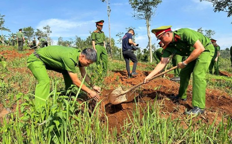 Chung tay dọn rác, trồng cây phục hồi rừng ngập mặn ở Nha Trang
