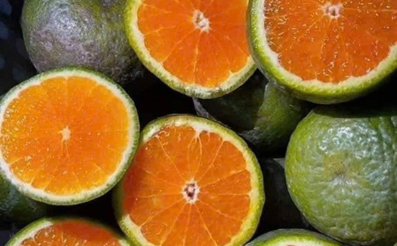 1 glass of pure fruit juice from oranges can prevent pregnant women from hypoglycemia. Photo: Quang Minh.