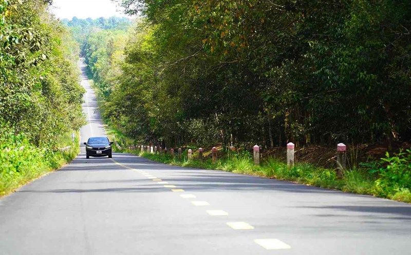 The road project from Ma Da bridge to the intersection with Ho Chi Minh City Ring Road 4 passes through Vinh Cuu district, Dong Nai. Photo: HAC
