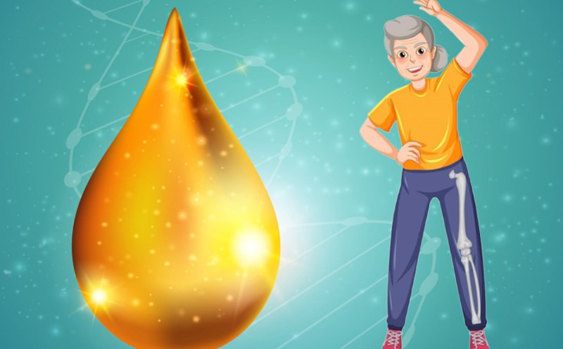 Collagen can improve joint function. Graphics: Thien Nhan