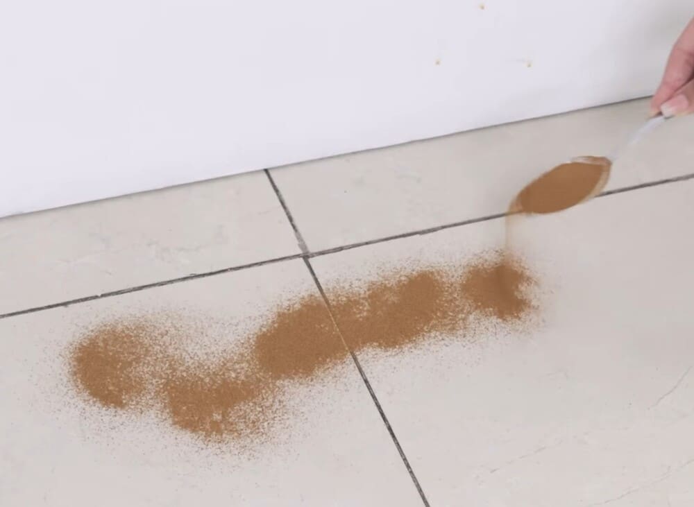 Espolvorea el polvo de canela en la esquina de la pared ayudara a perseguir efectivamente las hormigas en el area de la cocina. Foto: Tuan dat